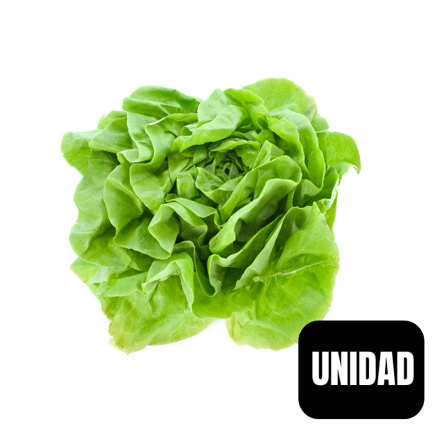 Lechuga Española