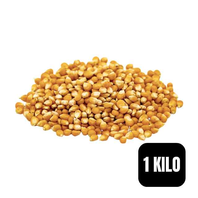 Maíz Curagua (pop corn) kilo