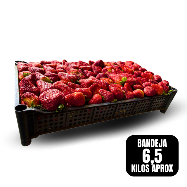 Frutilla bandeja 6,5 kilos aprox